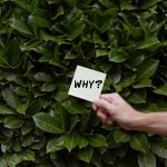 I Analyzed Canva’s SEO Strategy and Found Something Interesting